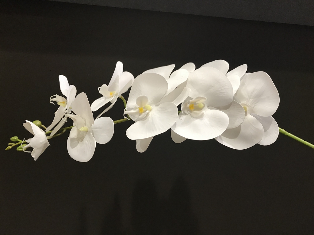 Dirbtina balta orchidėja