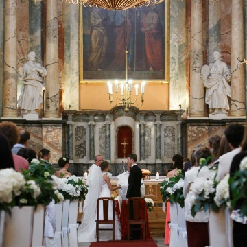 Šventinis bažnyčios dekoravimas vestuvėms, baltomis Hortenzijomis.