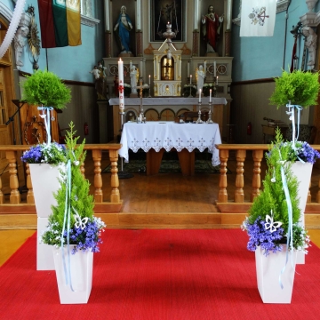 Bažnyčios altoriaus dekoravimas vazoninėmis gėlėmis.