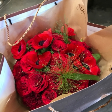 Gėlių dėžutė Raudonas anemonas