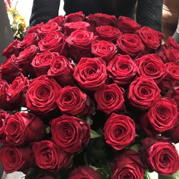 VIP Raudonų 55 rožių puokštė 