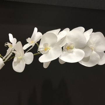 Dirbtina balta orchidėja