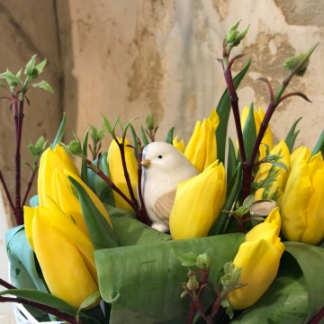 Pavasarinė tulpių kompozicija