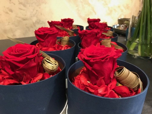 Miegančios raudonos rožės dėžutėje