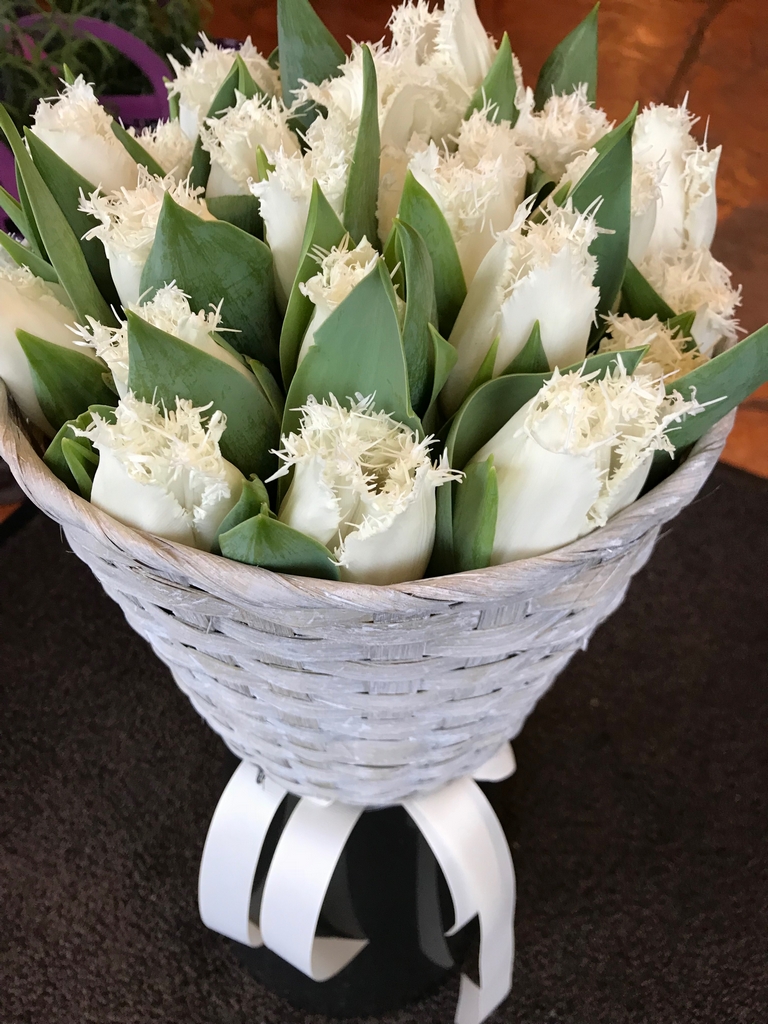 Baltos garbanotos tulpės Valentino dienai