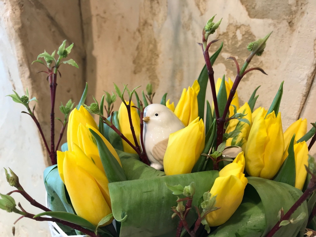 Pavasarinė tulpių kompozicija